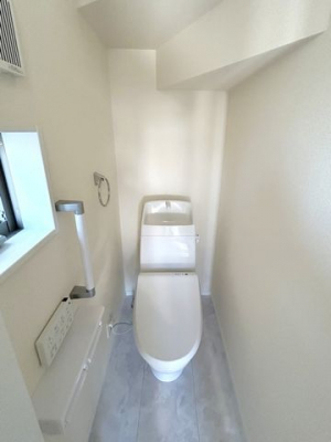 �F�{�����u�s�{�� �̐V�z��ˌ��Ă̂��̑�����
