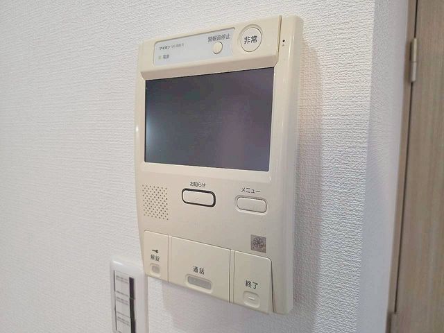�F�{���e�r�S�e�z���厚���� �̐V�z��ˌ��Ẳ摜