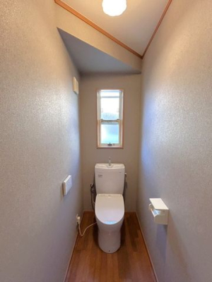 �F�{���F�y�s������1106-18�̒��È�ˌ��Ẵg�C��