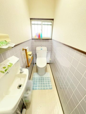 �����������S�u�ƒ����u4���ڂ̒��È�ˌ��Ẵg�C��