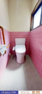 �����������s��攐��2���ڂ̒��È�ˌ��Ẵg�C��