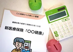 ���N�ی��̃p���t���b�g�̎ʐ^